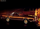 Thunderbird 1977 - 1979 yil