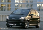 Peugeot 2007 yildan beri 1007